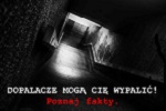 Dopalacze mog� Cie wypali� – POZNAJ FAKTY!