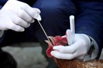 Jak chroni� si� przed rozprzestrzenianiem wirusa ptasiej grypy?